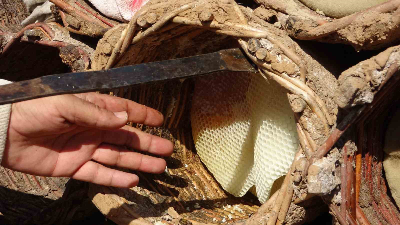 Bitlis’te dünyaca ödüllü karakovan balının hasadına başlanıldı