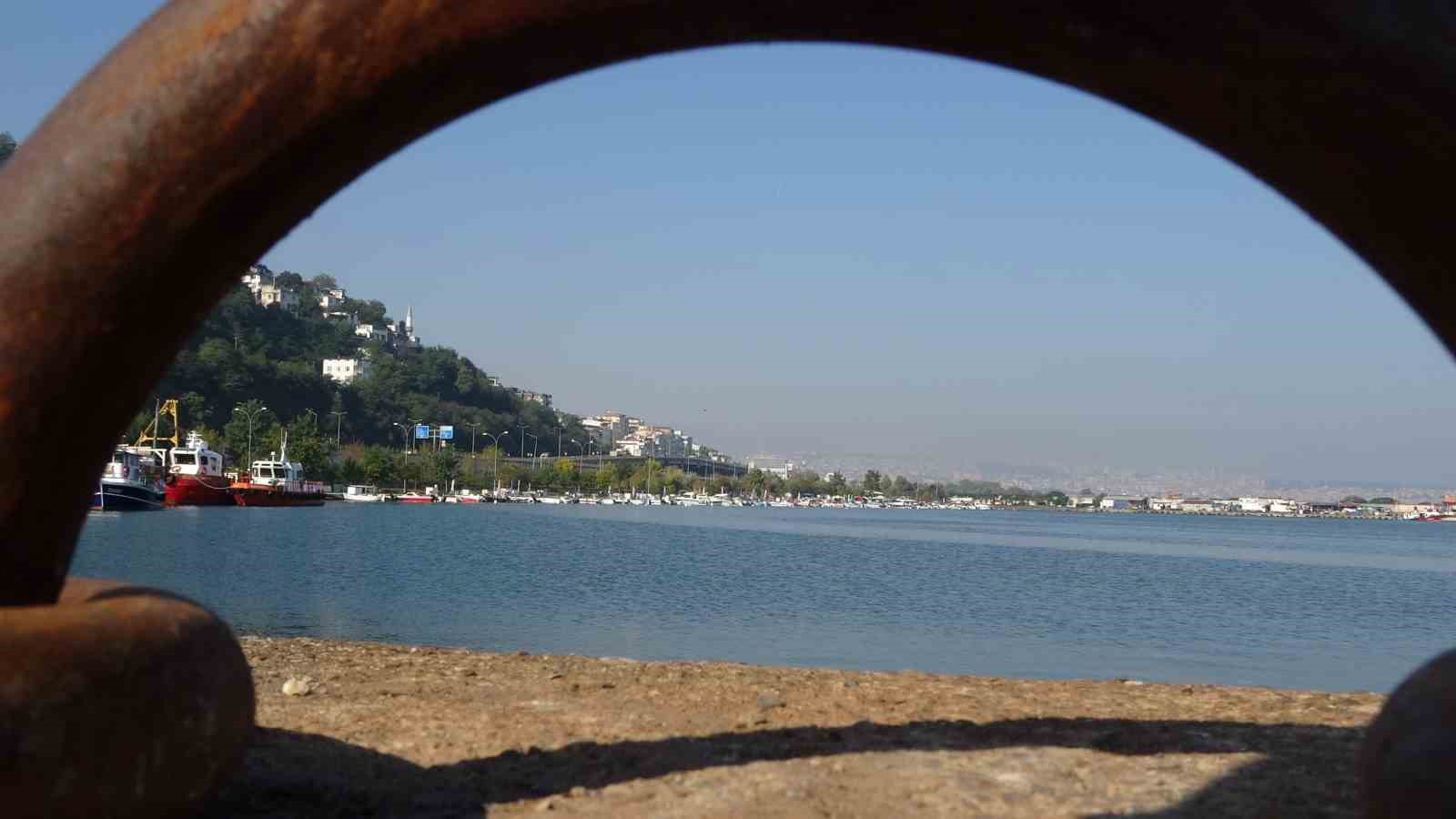 Karadeniz’de palamut alarmı: "Önüne ne gelirse yiyor, bir an önce hepsinin tutulması gerekiyor"