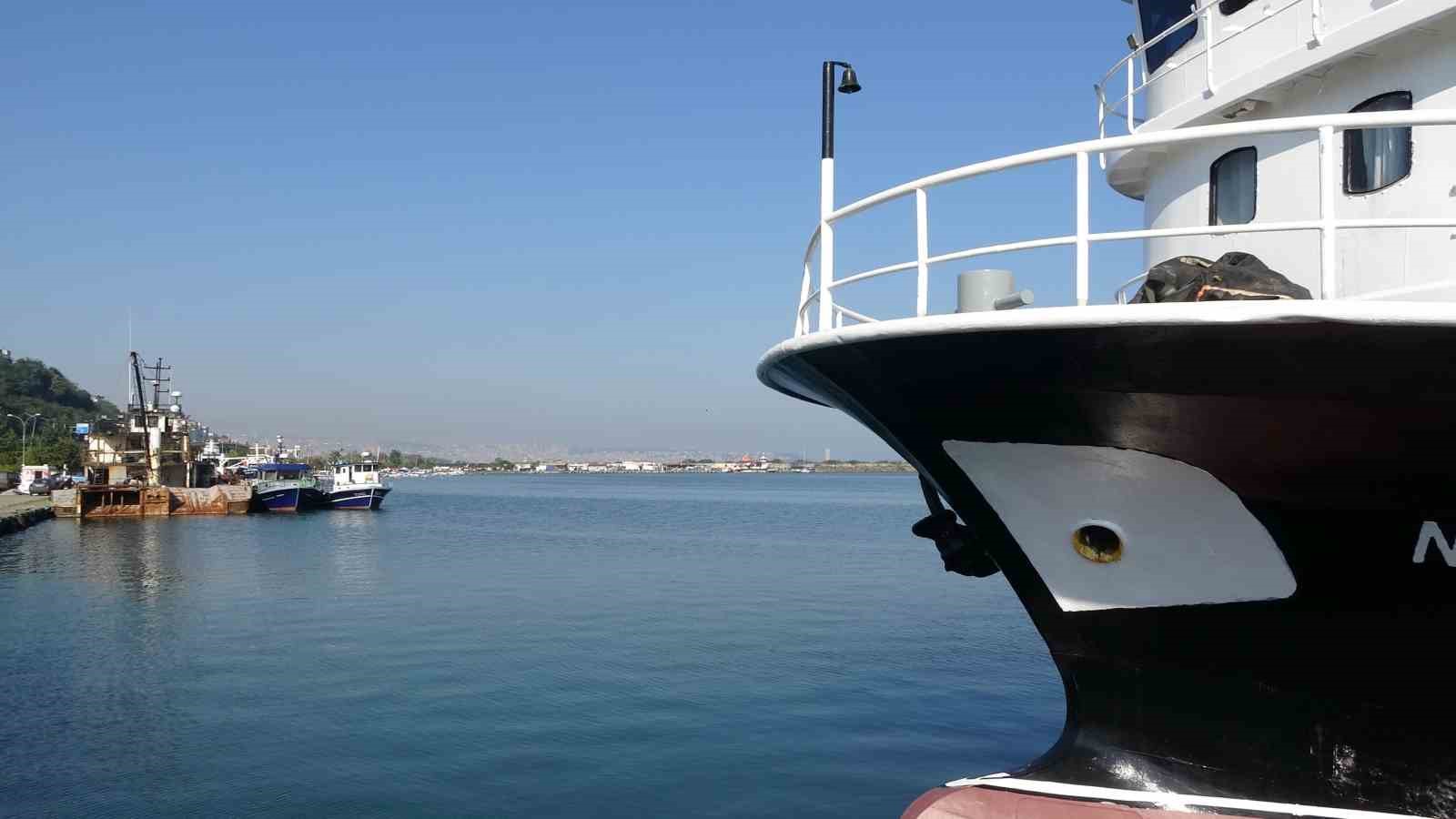 Karadeniz’de palamut alarmı: "Önüne ne gelirse yiyor, bir an önce hepsinin tutulması gerekiyor"