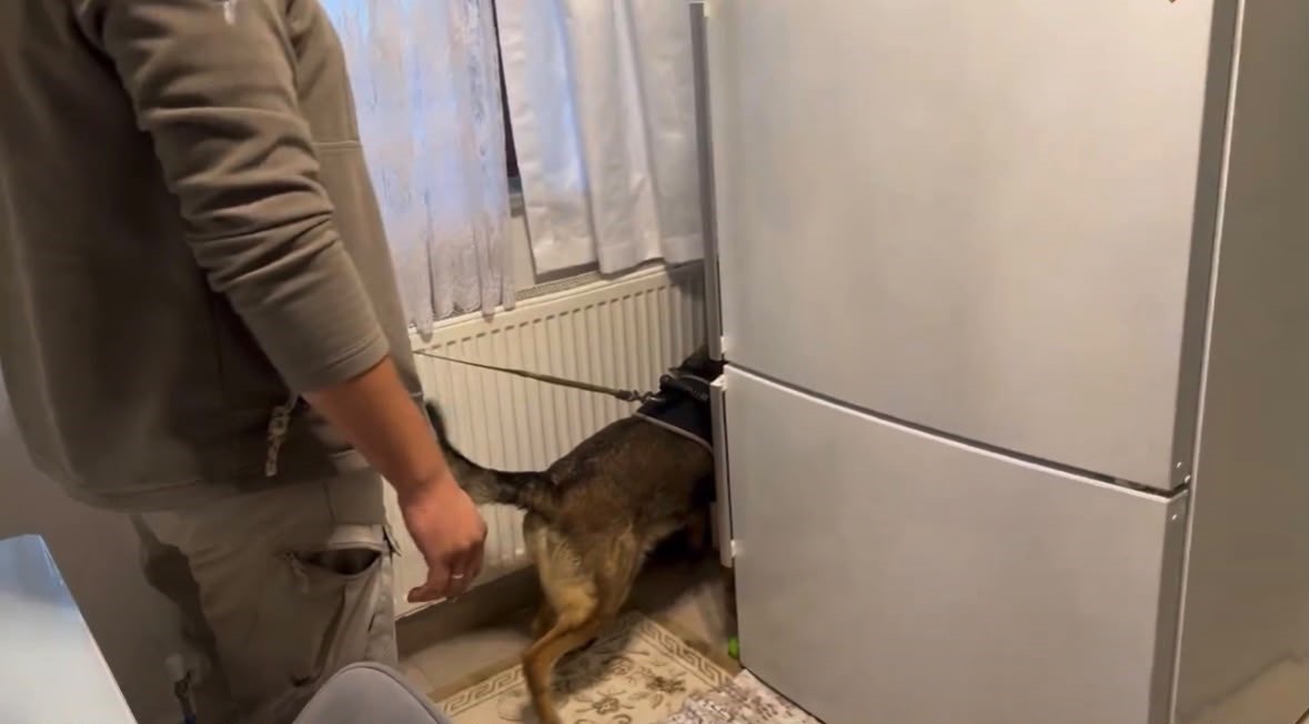 Bingöl’de uyuşturucu operasyonu: 1 kişi tutuklandı