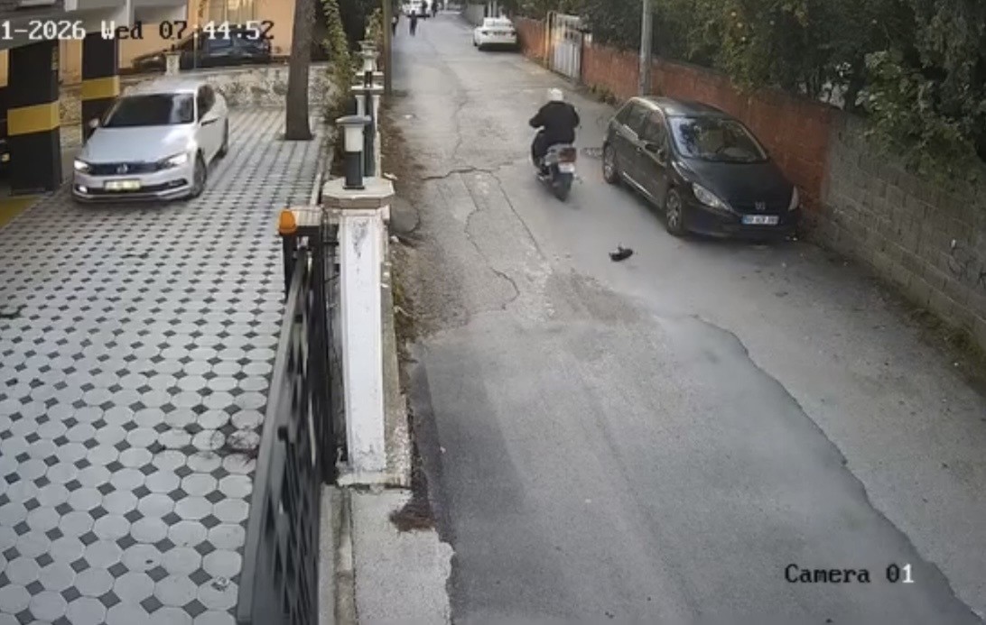 Osmaniye’de motosikletin çarptığı kedi öldü