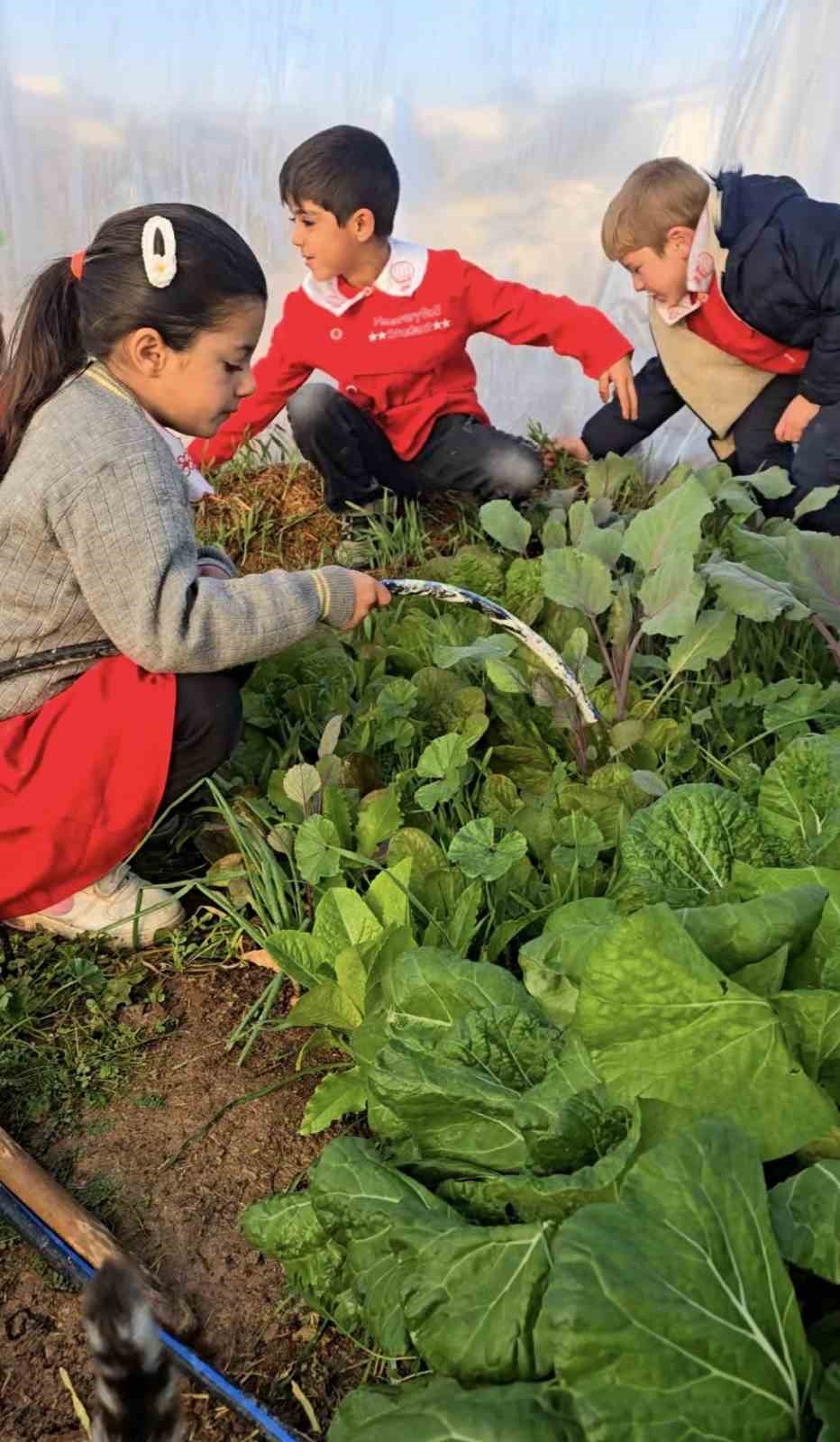Gören bir daha bakıyor: Burası Finlandiya değil, Diyarbakır’da bir köy okulu