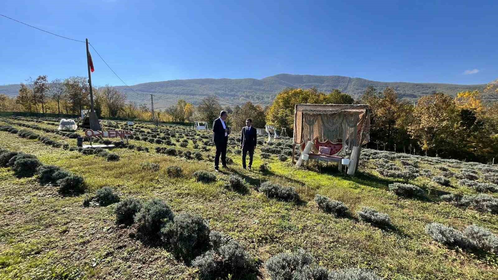 Samsun’da kadın üretici lavanta yetiştiriciliğiyle tarımsal çeşitliliğe katkı sağlıyor