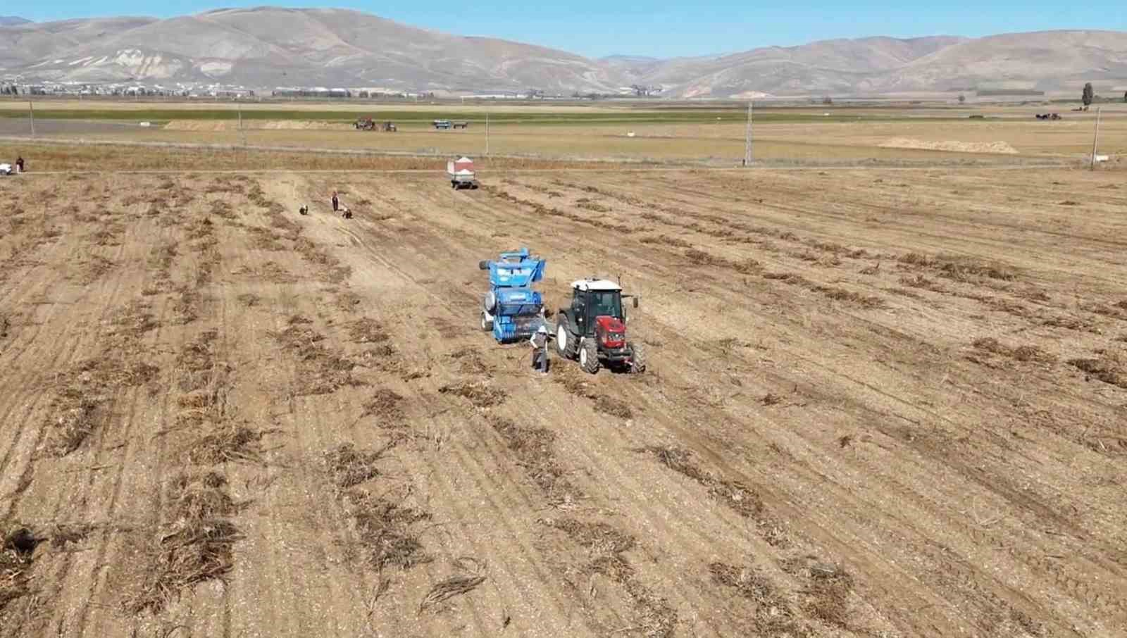 Fasulye hasadında saha kontrolleri yapıldı
