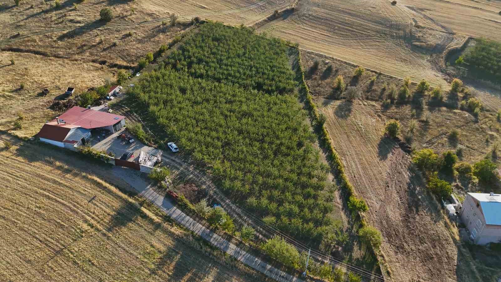 Almanya’da doktoru bahçe işleriyle uğraşmasını önerdi, o memleketine dönüp üretici oldu