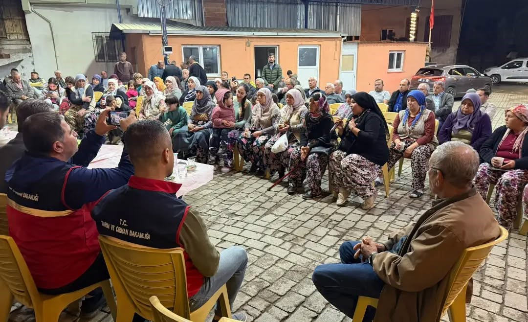 Aydın kuru incirinde kalite ve gıda güvenliği çalışmaları sürüyor