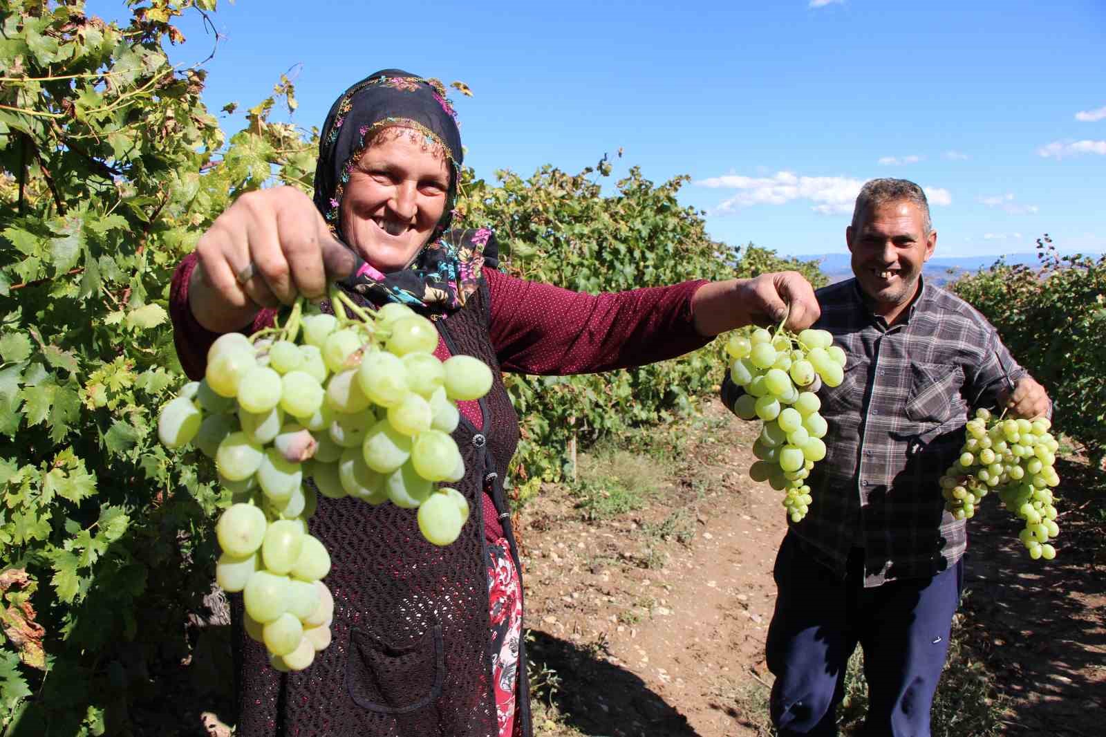Pekmez için dağları deliyorlar