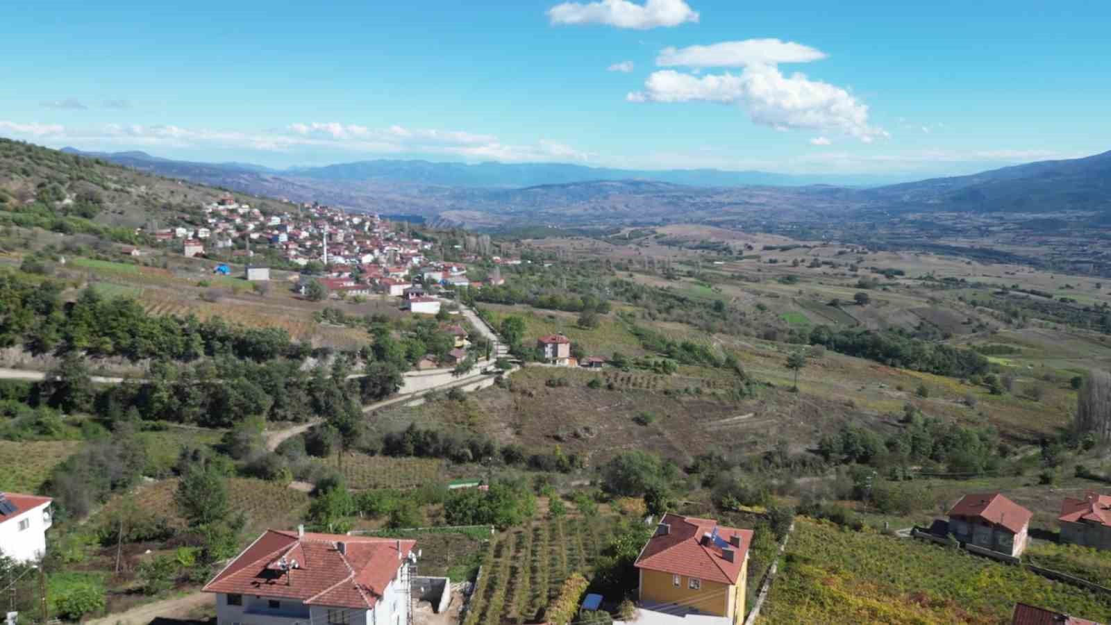 Pekmez için dağları deliyorlar