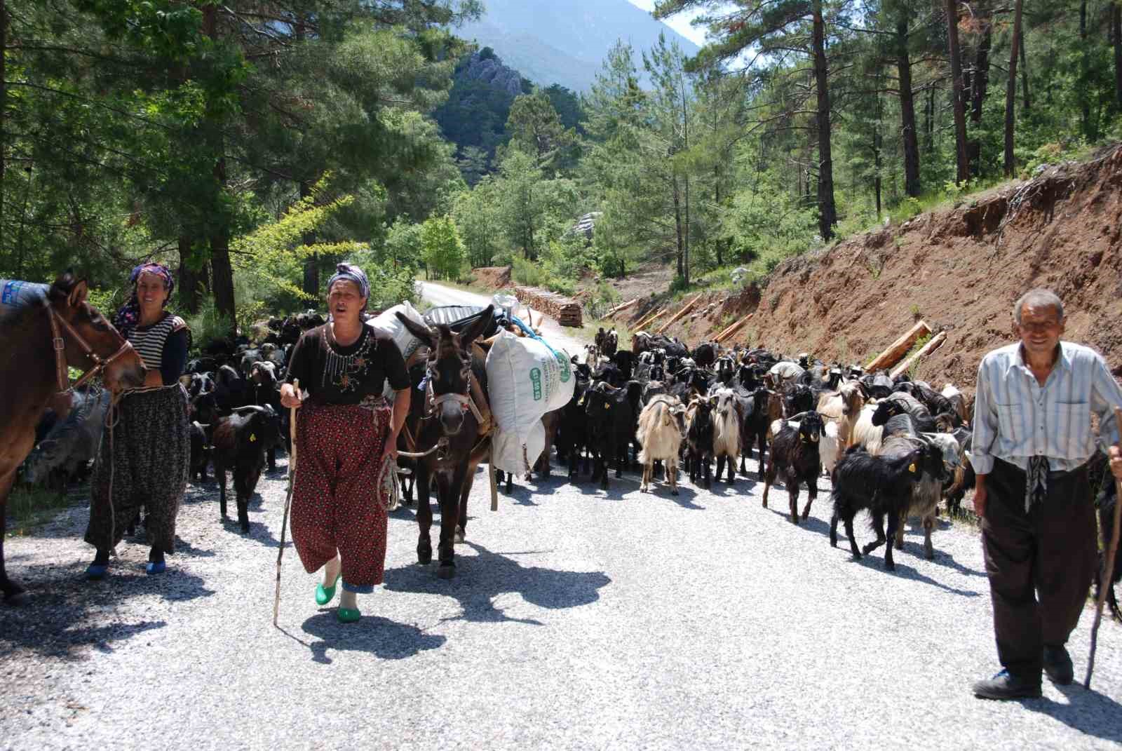Yörüklerin Toroslar’dan sahile dönüş yolculuğu başladı
