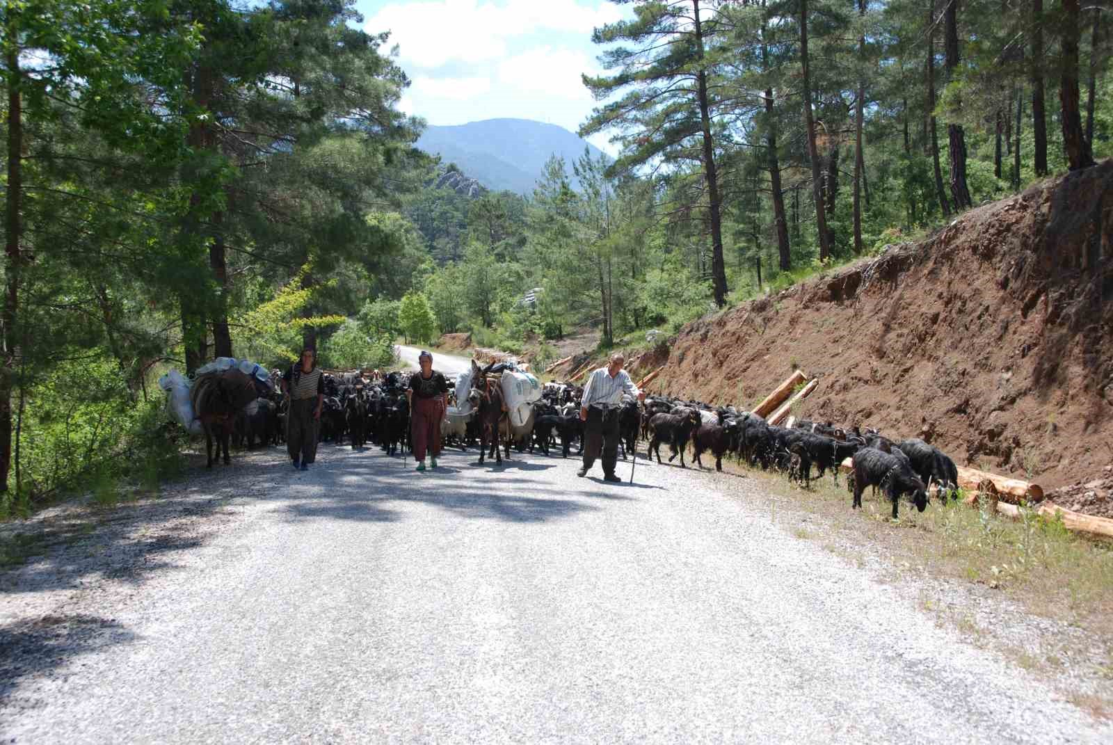 Yörüklerin Toroslar’dan sahile dönüş yolculuğu başladı