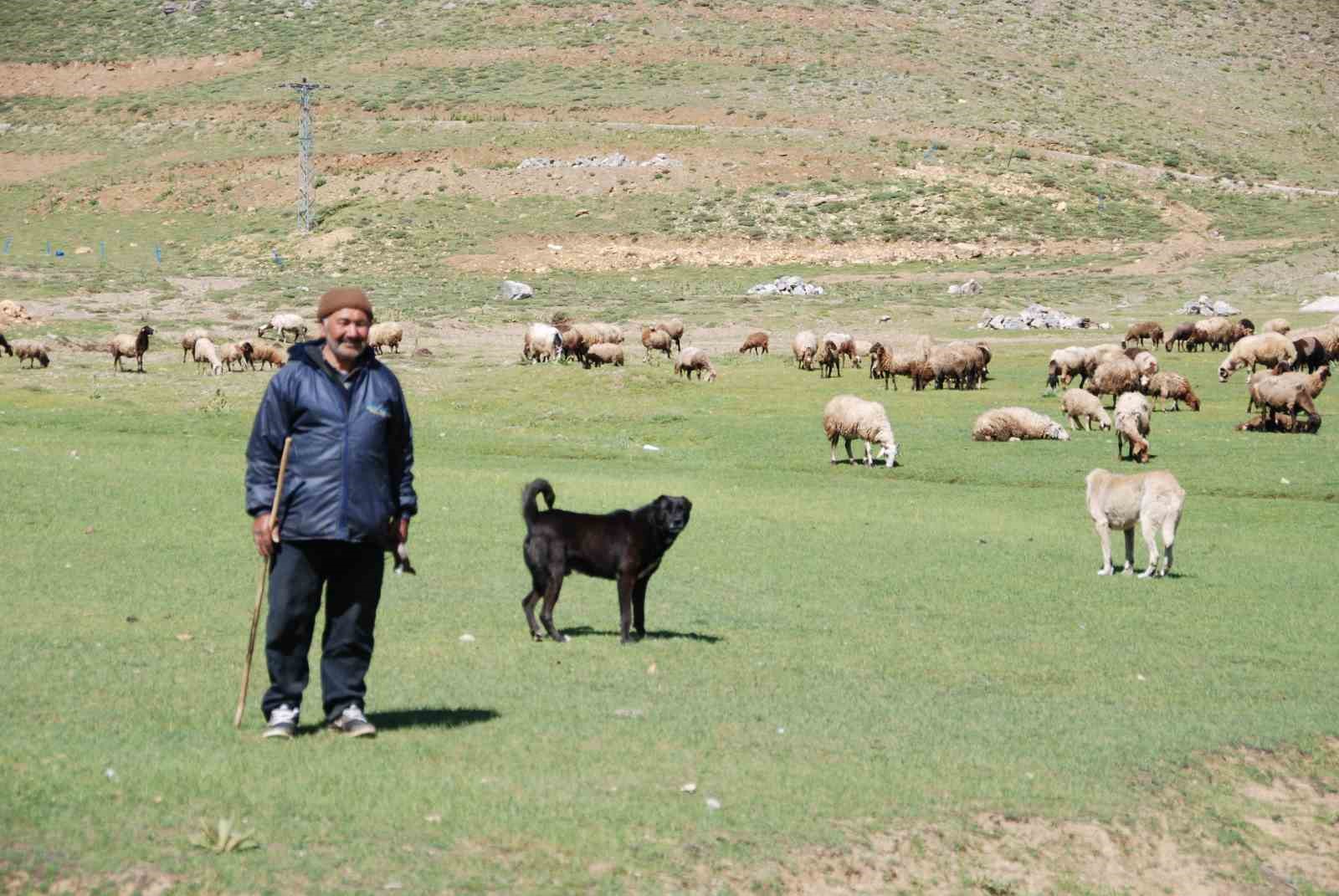Yörüklerin Toroslar’dan sahile dönüş yolculuğu başladı