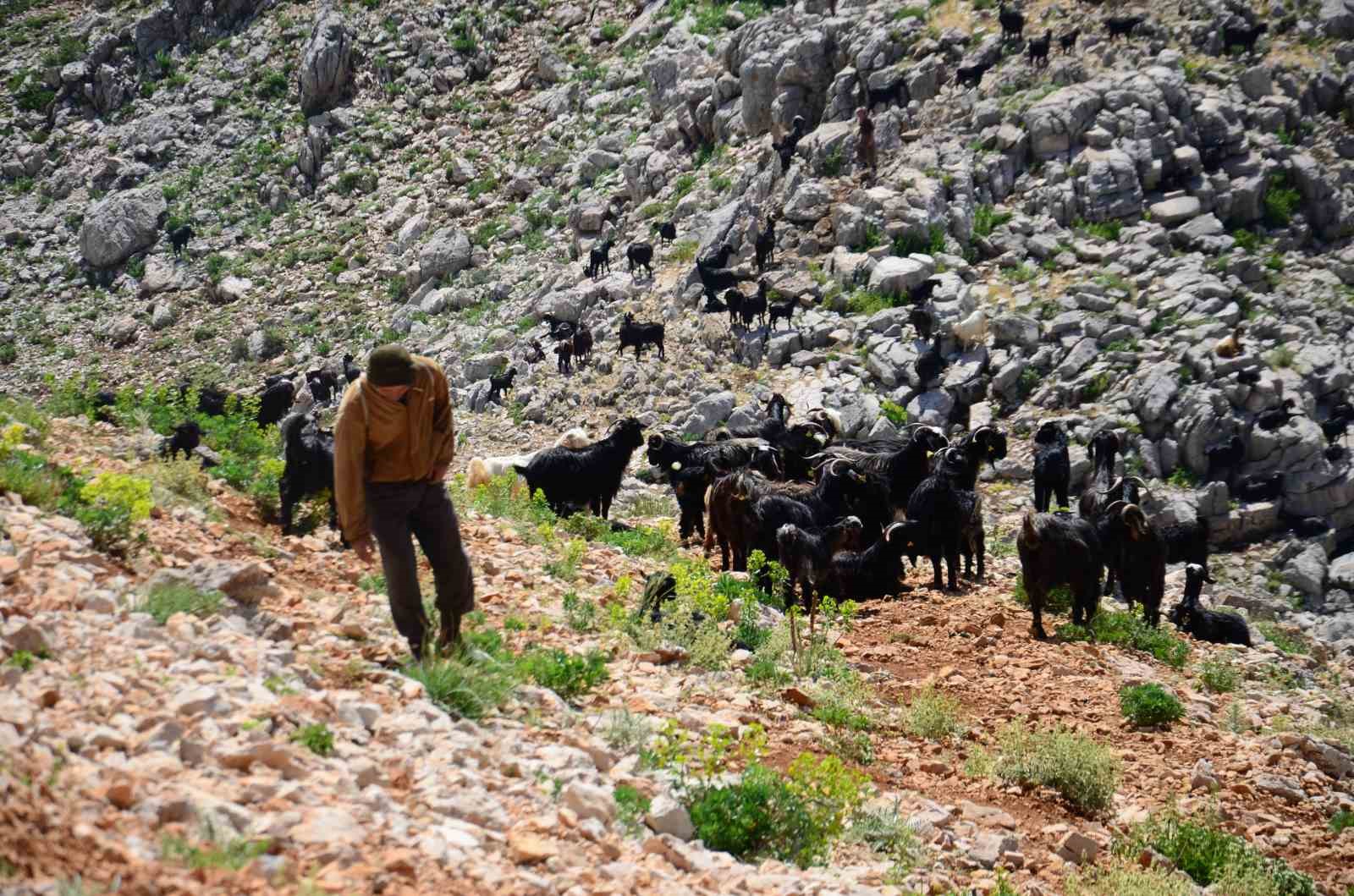 Yörüklerin Toroslar’dan sahile dönüş yolculuğu başladı