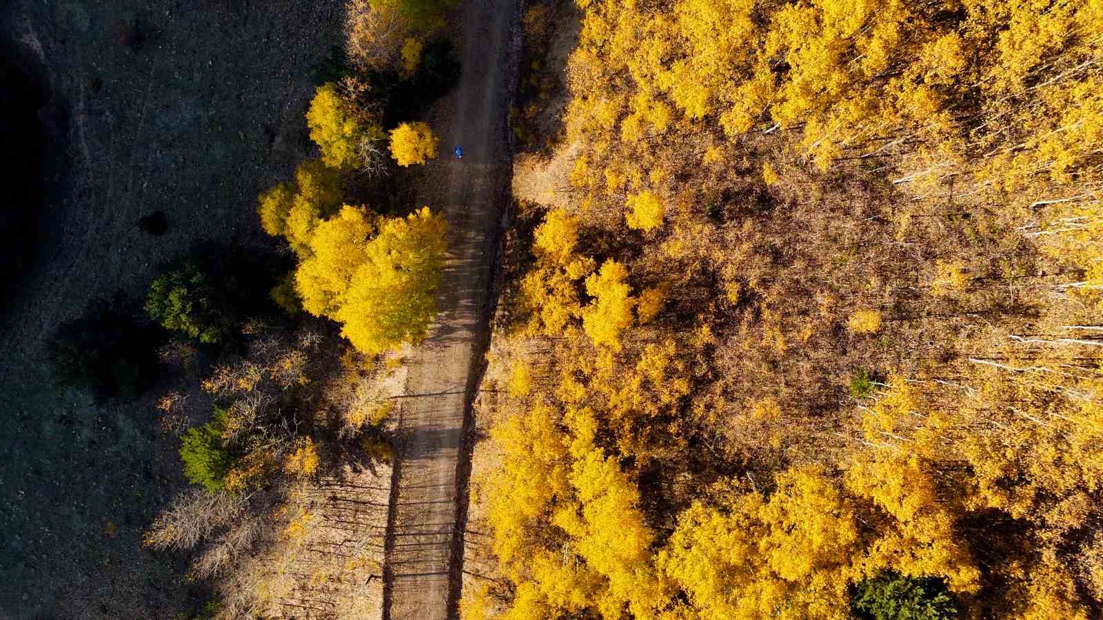 Gümüşhane’de sarıdan kızıla mest eden manzaralar