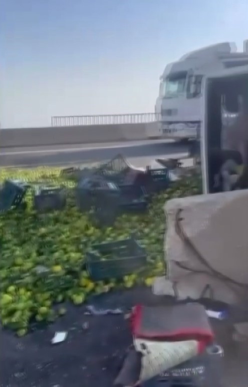 Gaziantep’te mandalina yüklü kamyon devrildi