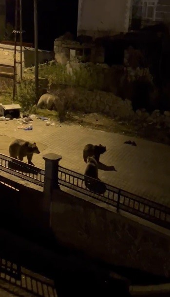 Kars’ta vatandaşın ayıya ile güldüren tepkisi: "Ne buldun da yiyorsun"