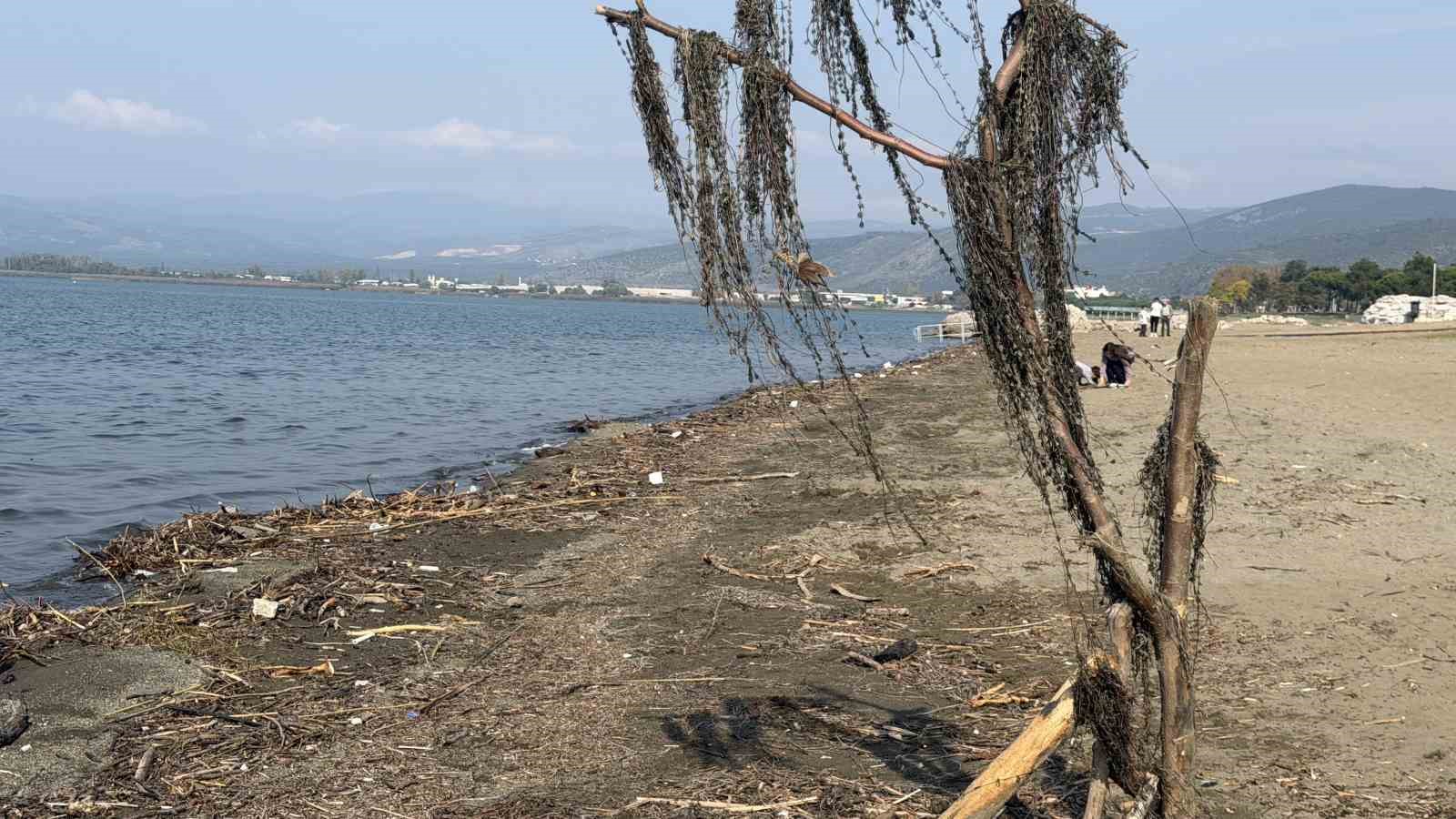 Dereler taştı, barajlar doldu, İznik Gölü çekilmeye devam ediyor