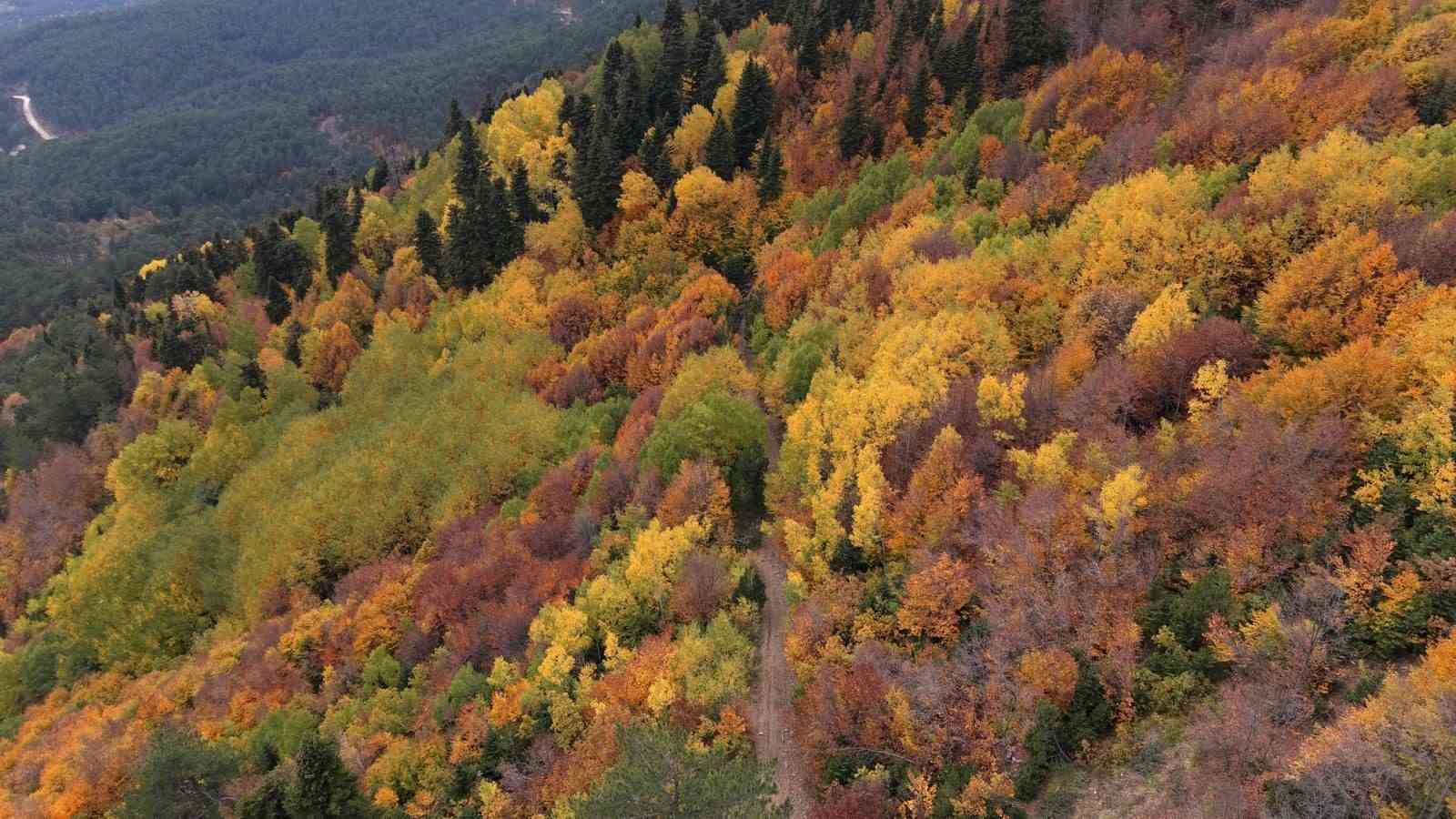 Uludağ’ın arka yüzünde kartpostallık manzaralar