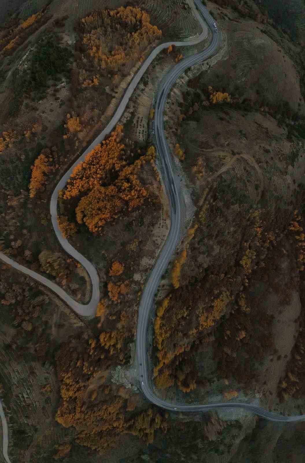 Kop Dağı’nda sonbahar renkleri mest etti