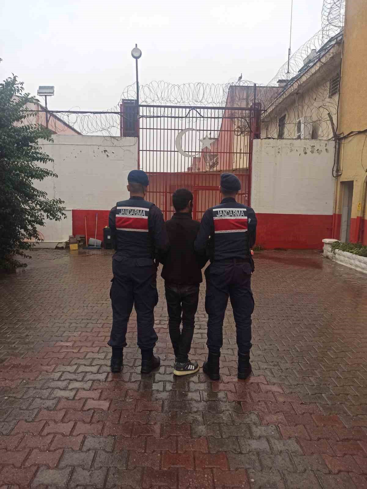 Koçarlı’da çaldığı büyükbaş hayvanları satan şüpheli tutuklandı