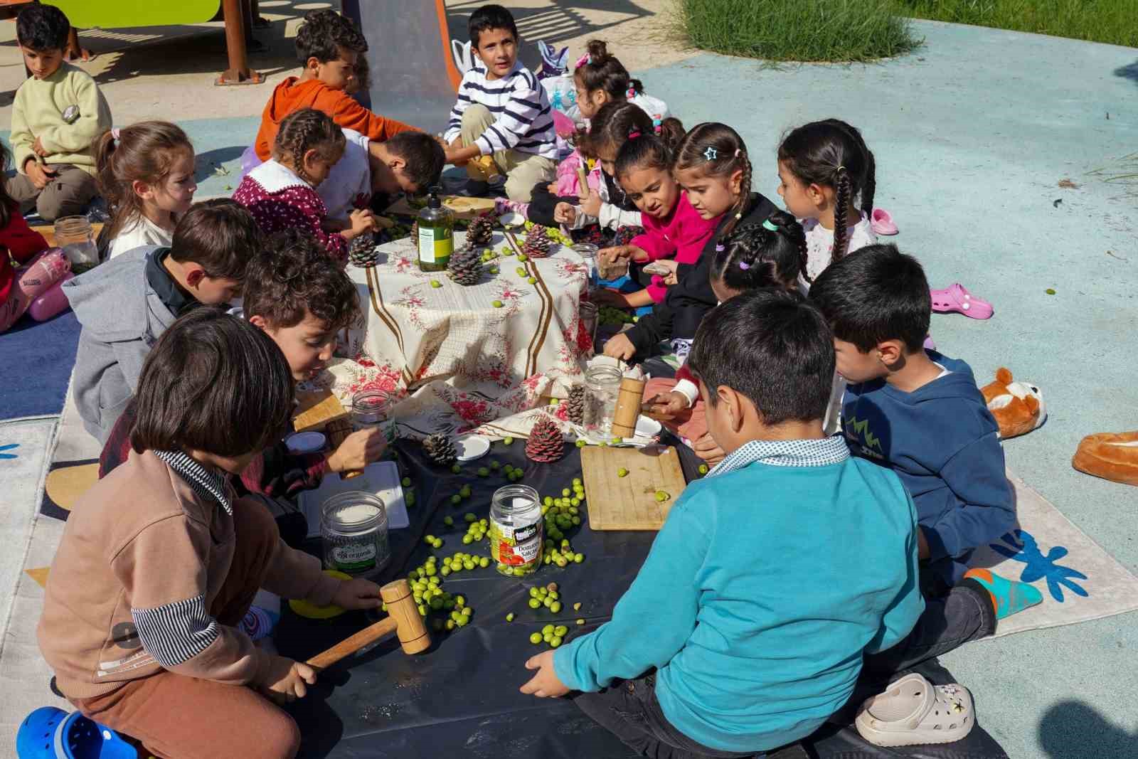 Çocuklar zeytin kırdı, geleneksel üretimle tanıştı