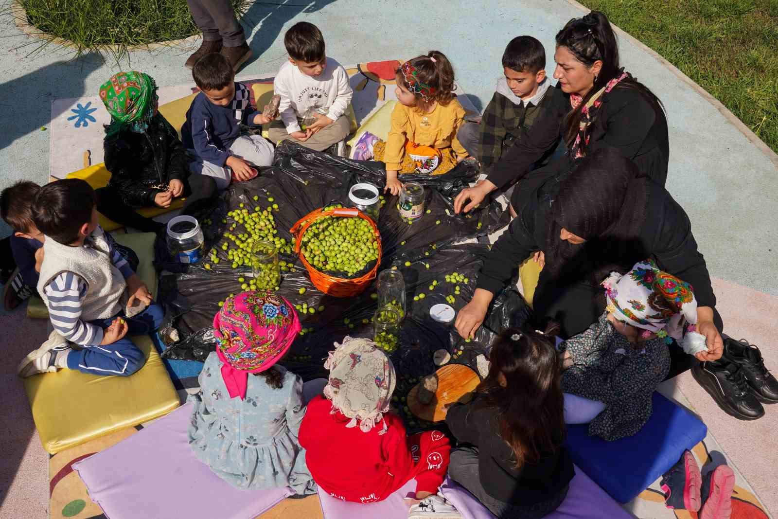 Çocuklar zeytin kırdı, geleneksel üretimle tanıştı