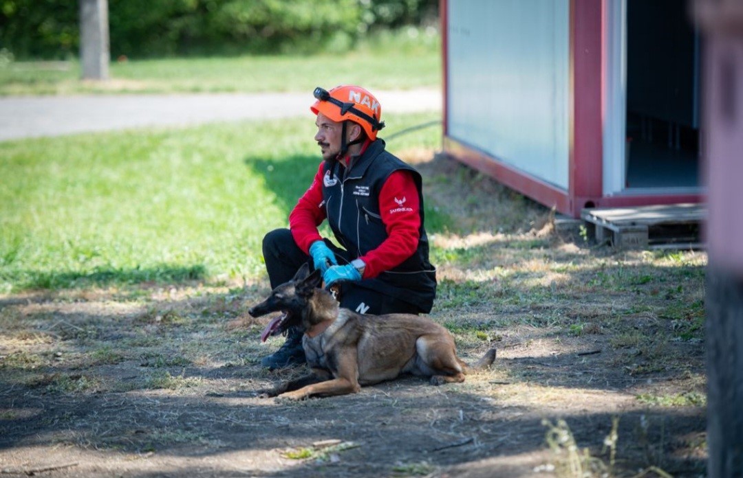 Muğla’nın arama kurtarma köpekleri Tayga ve Foxy görev yeterlilik sınavını geçti