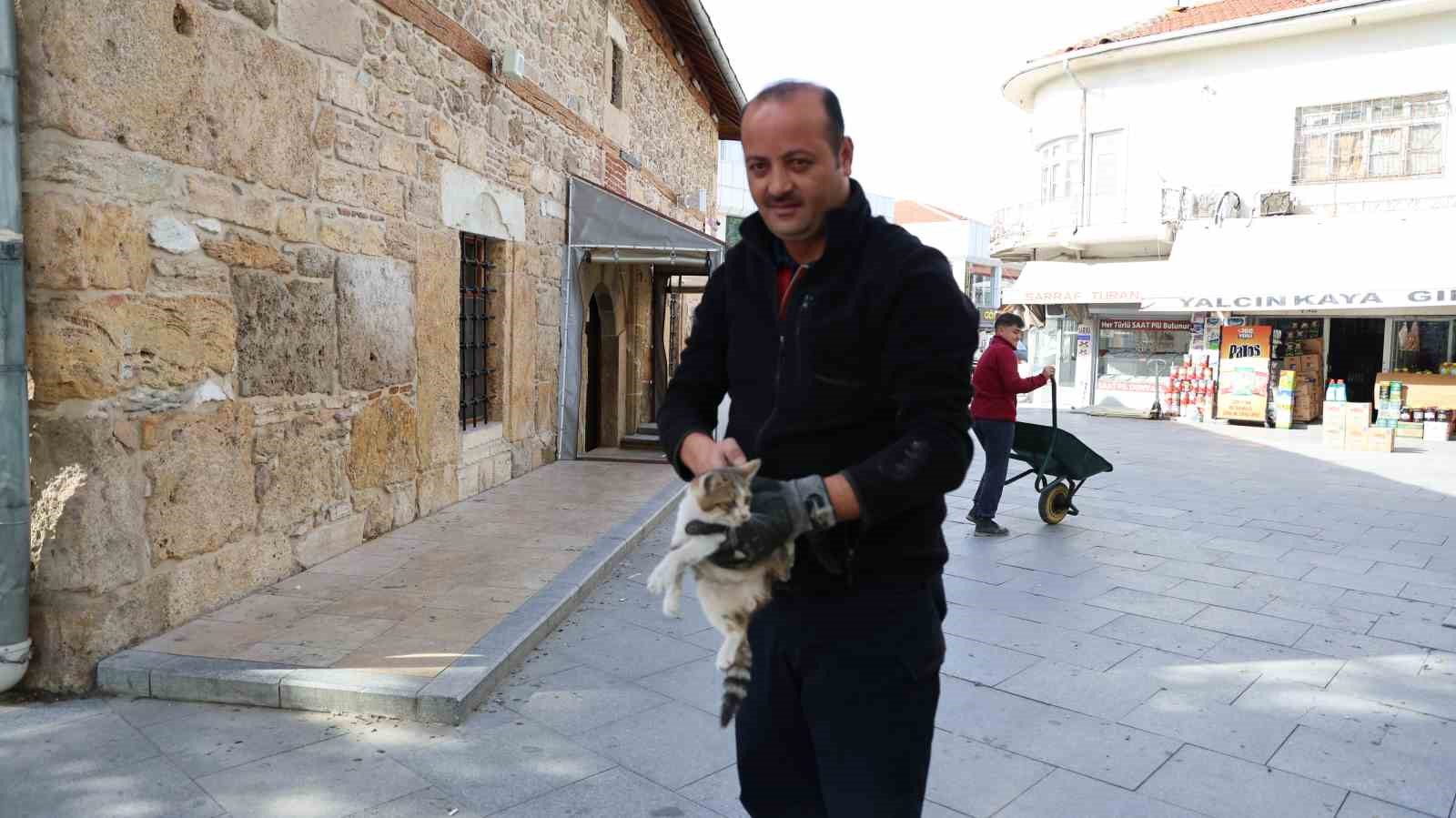 Kepenkte sıkışan kedi kurtarıldı