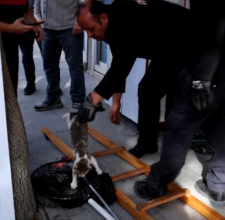 Kepenkte sıkışan kedi kurtarıldı