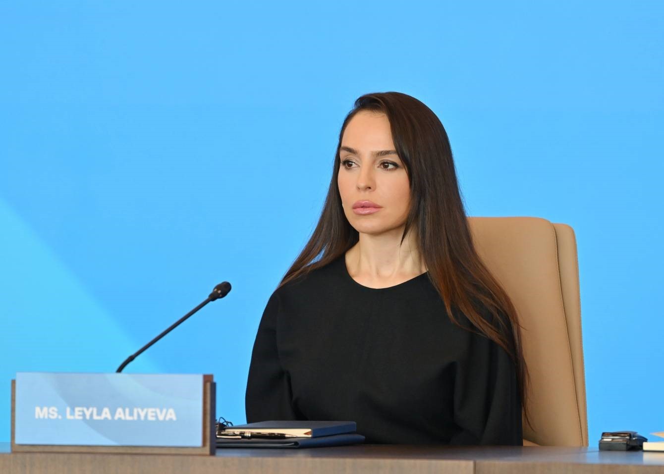 Aliyev: "Ermenistan etnik temizlik politikası uyguladı ve cezalandırılmadı"