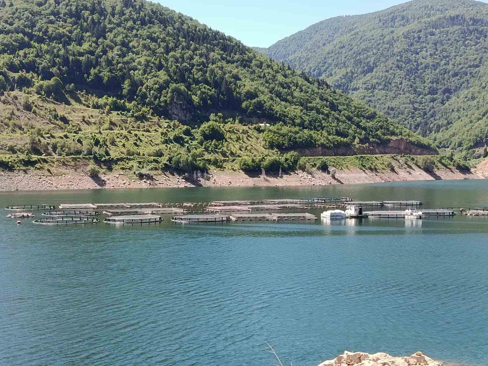 Ordu’da alabalık tesislerine denetim