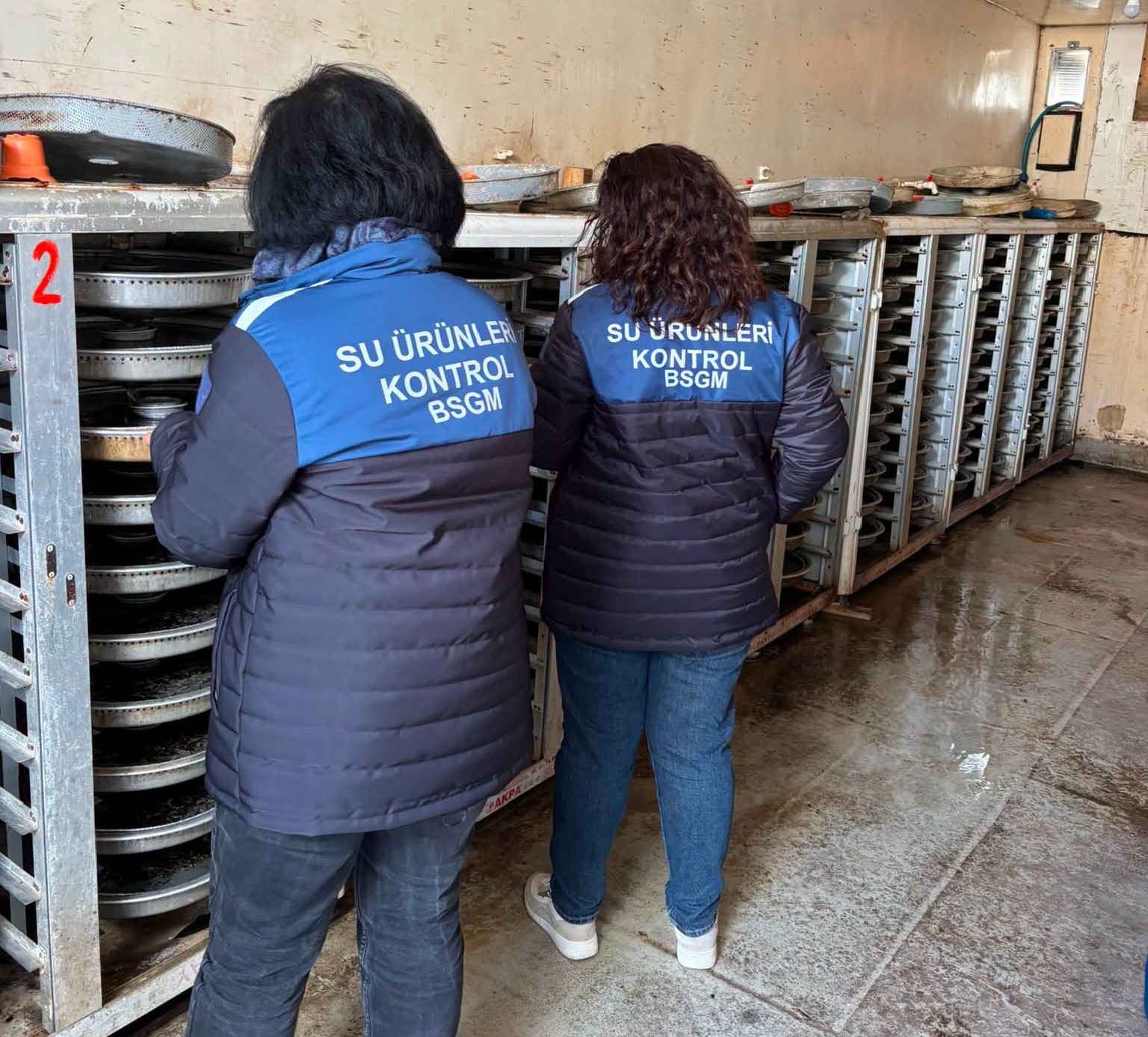 Ordu’da alabalık tesislerine denetim