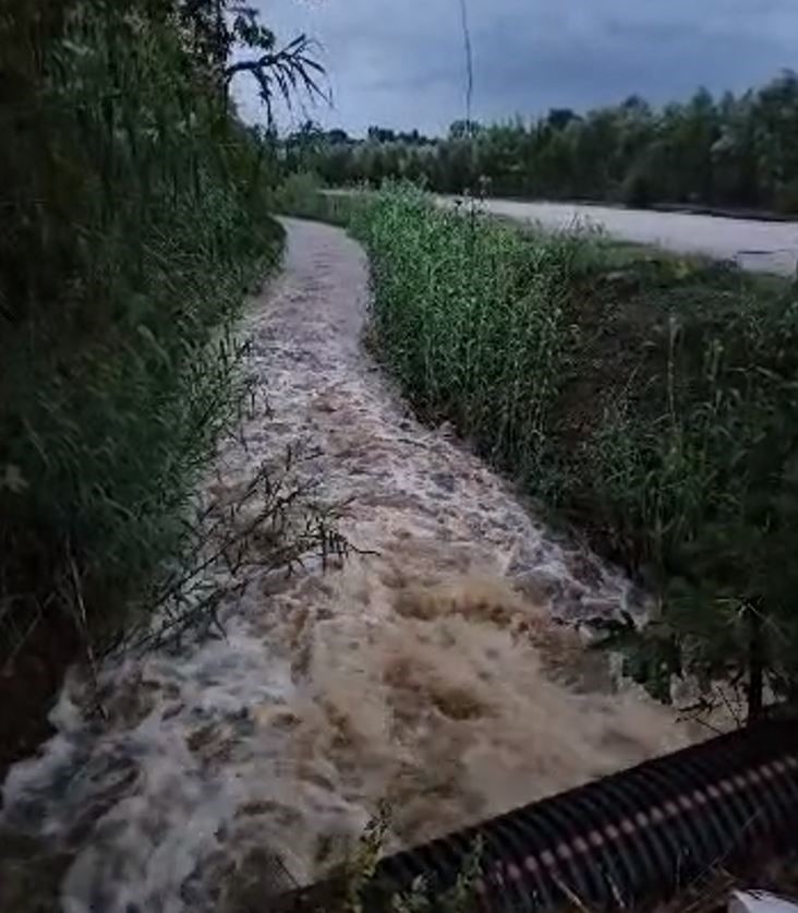 Fethiye’de sağanak yağış hayatı olumsuz etkiledi