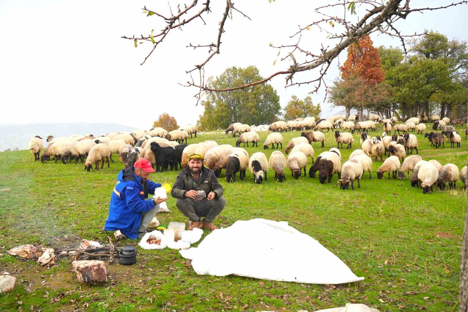 Muş yaylalarındaki göçerlerin dönüş yolculuğu başladı