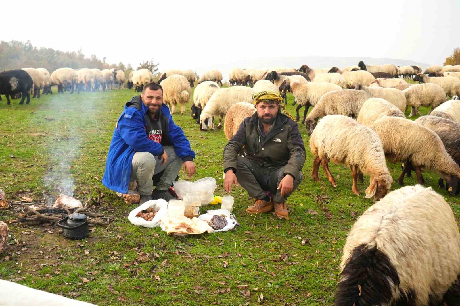 Muş yaylalarındaki göçerlerin dönüş yolculuğu başladı