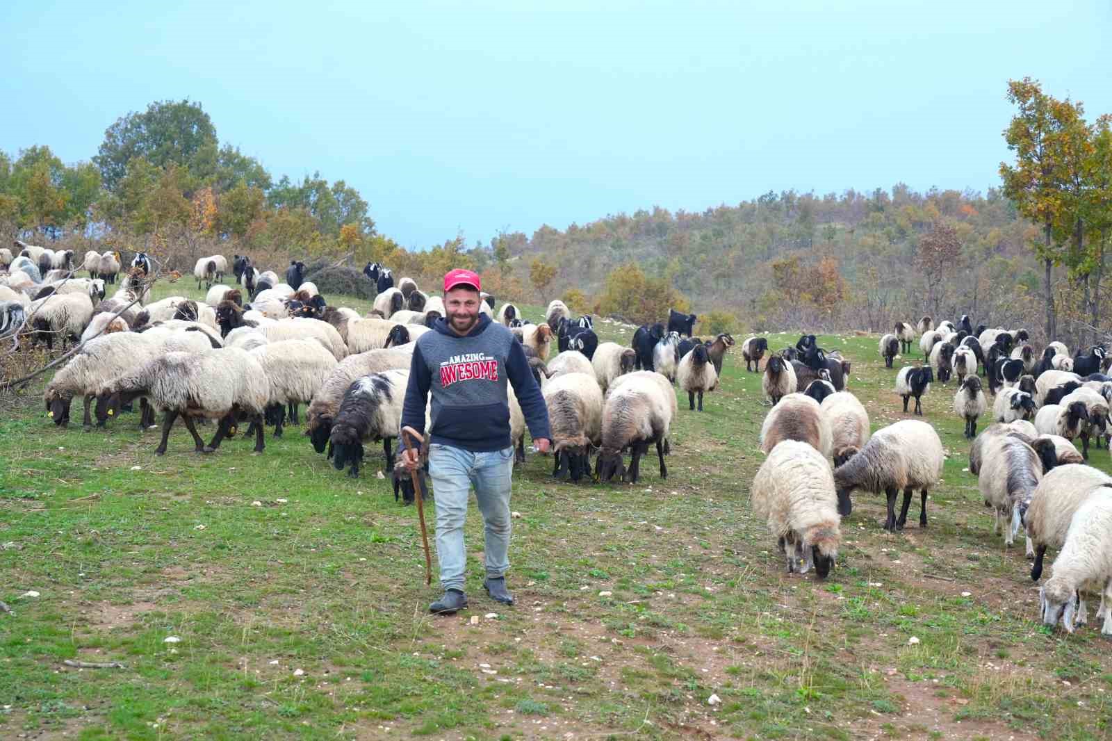 Muş yaylalarındaki göçerlerin dönüş yolculuğu başladı
