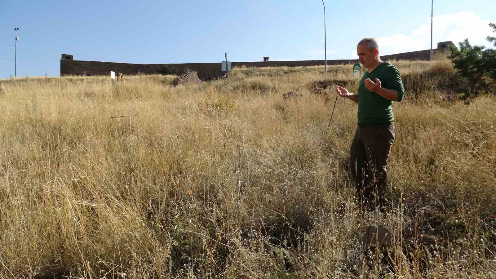 Erzurum’da 93 Harbi’nin isimsiz kahramanları: 7 kardeşin mezarı gün yüzüne çıkarılmayı bekliyor