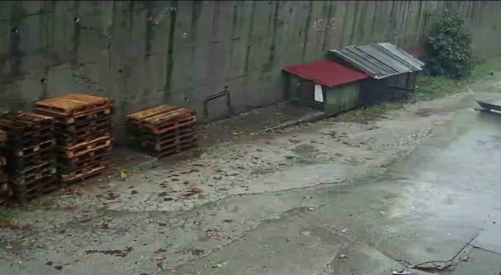 Zonguldak’ta istinat duvarının çöktüğü anlar kamerada: Köpekler telef oldu, 2 araç enkaz altında kaldı