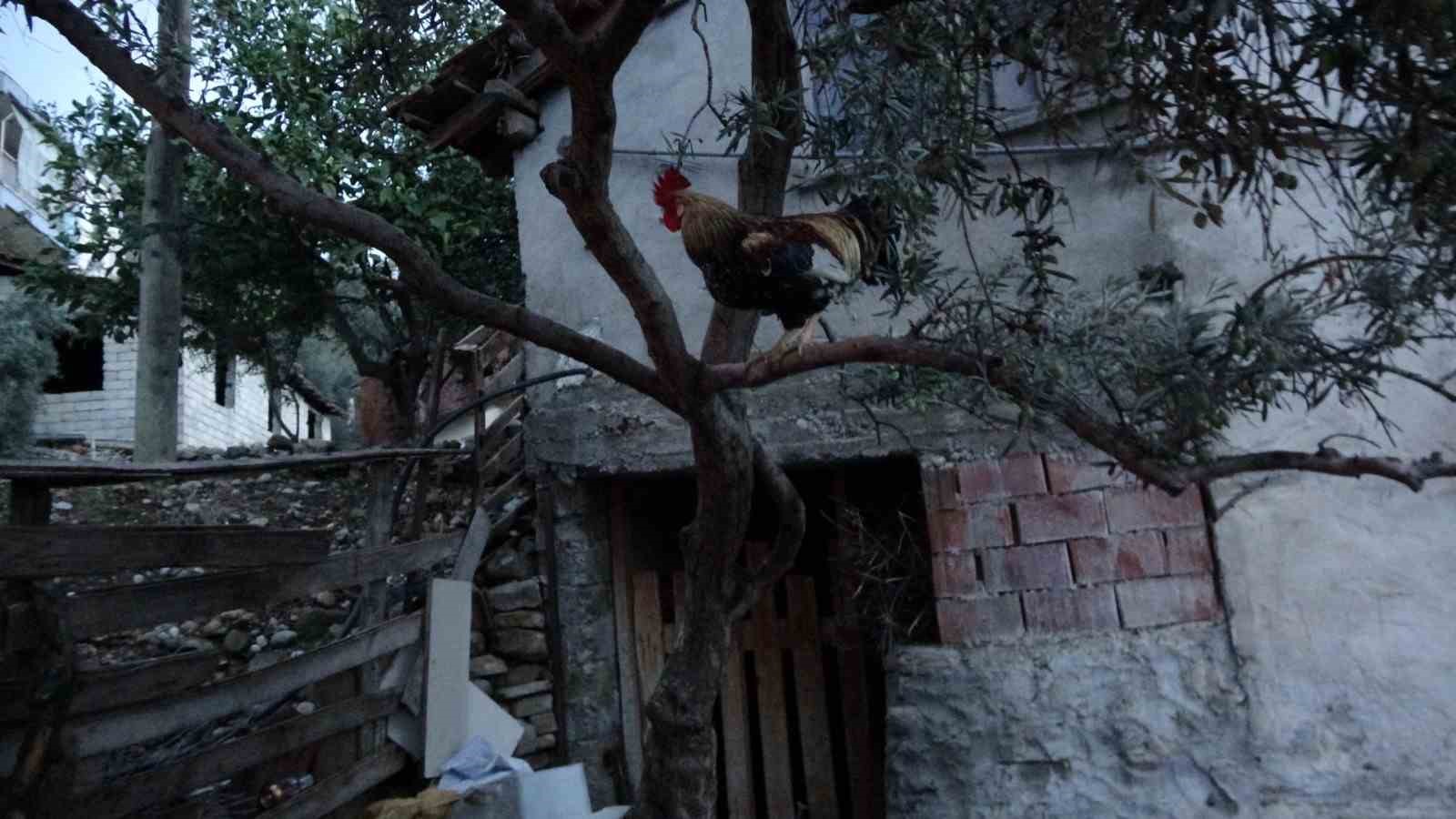 Benzin ile ocakta odun yakmak isterken evi yaktı