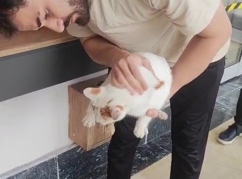 Malatya’da posta kutusuna sıkışan kedi kurtarıldı