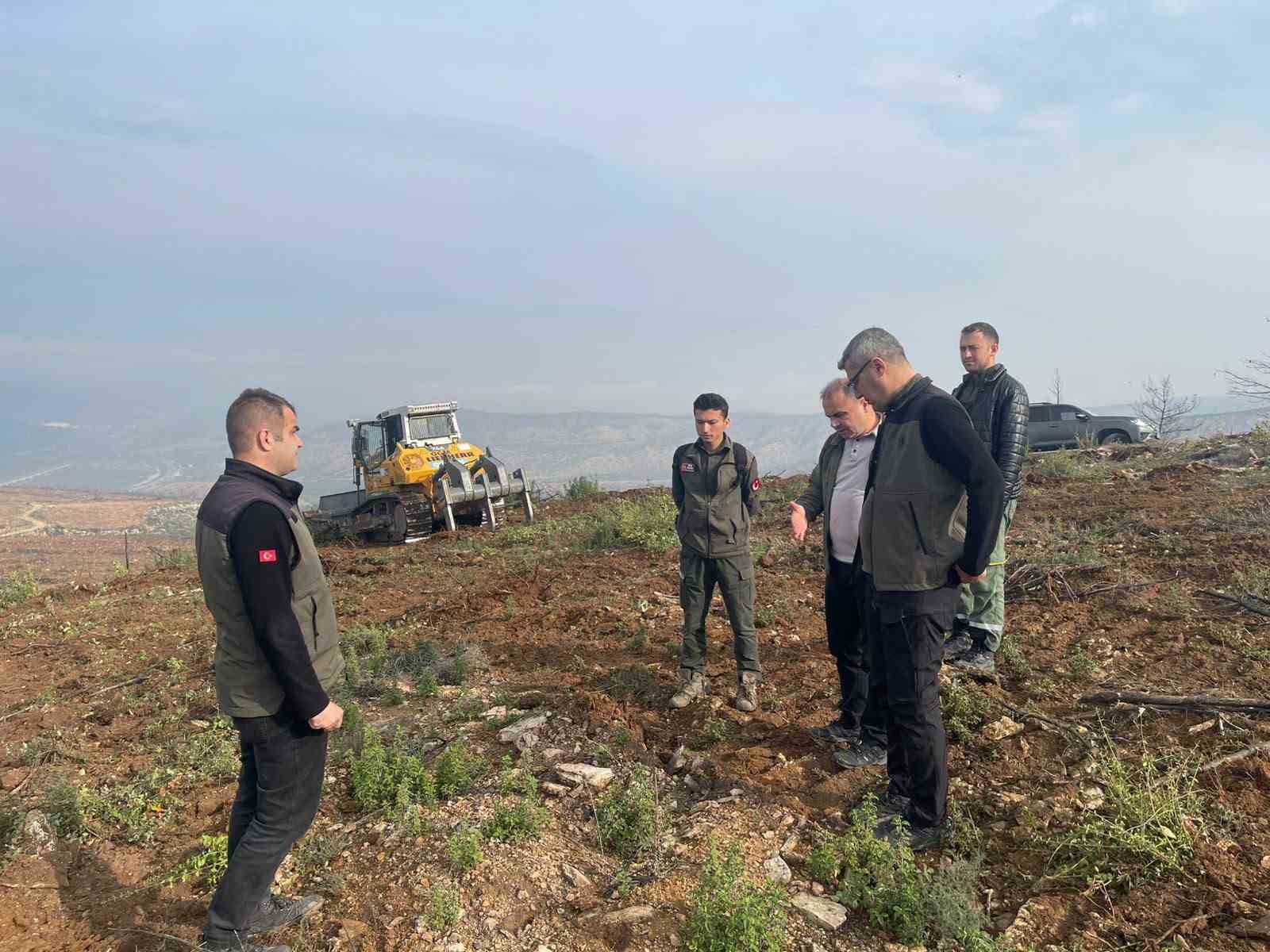 Bilecik’te yangınla küle dönen alanlar yeniden yeşeriyor