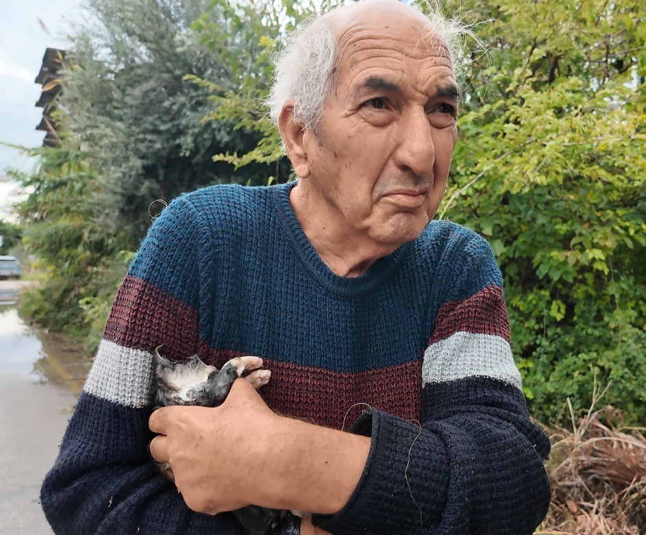 Günün kahramanı Mehmet dede: Su dolan bahçede mahsur kalan yavru kedileri kurtardı