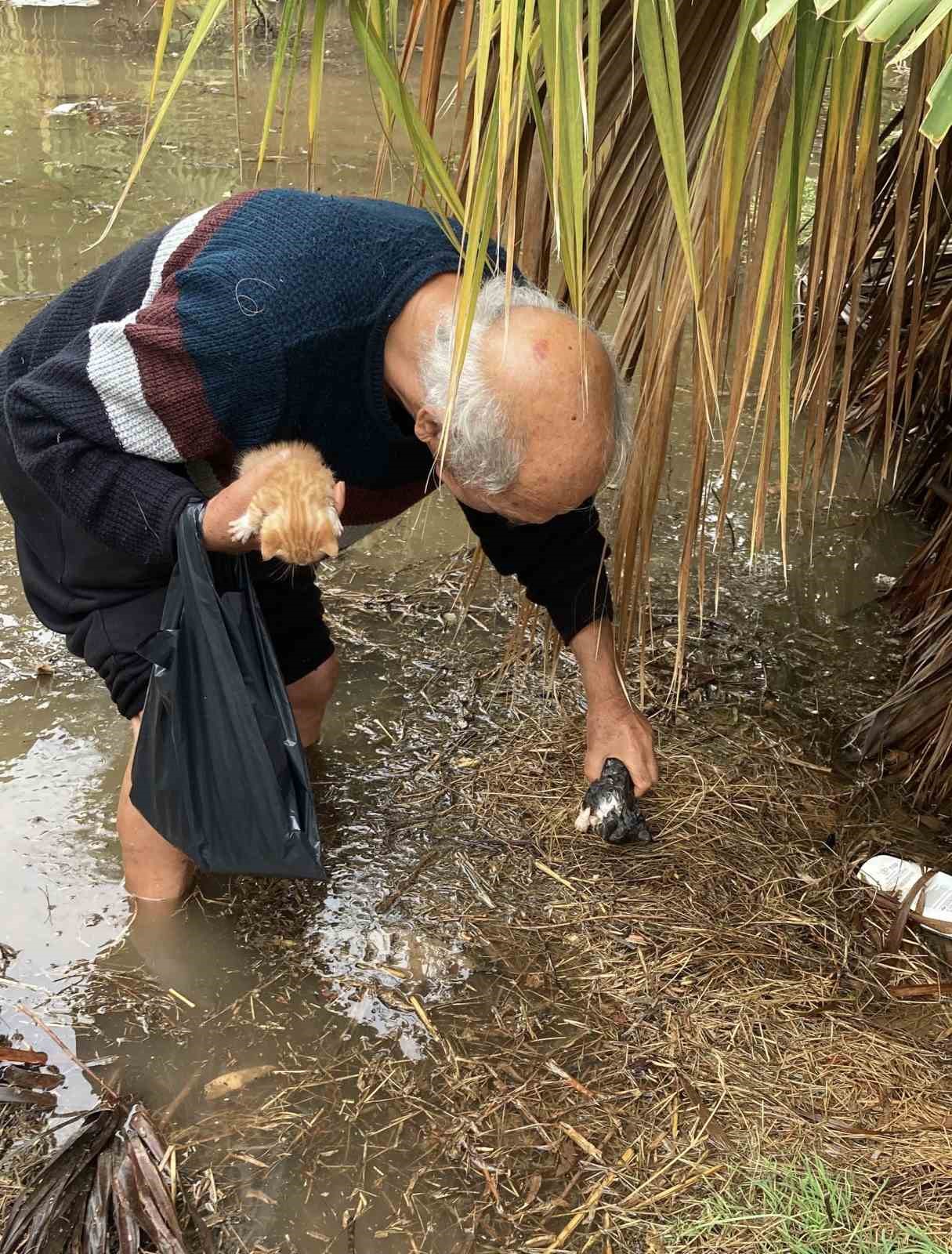 Günün kahramanı Mehmet dede: Su dolan bahçede mahsur kalan yavru kedileri kurtardı