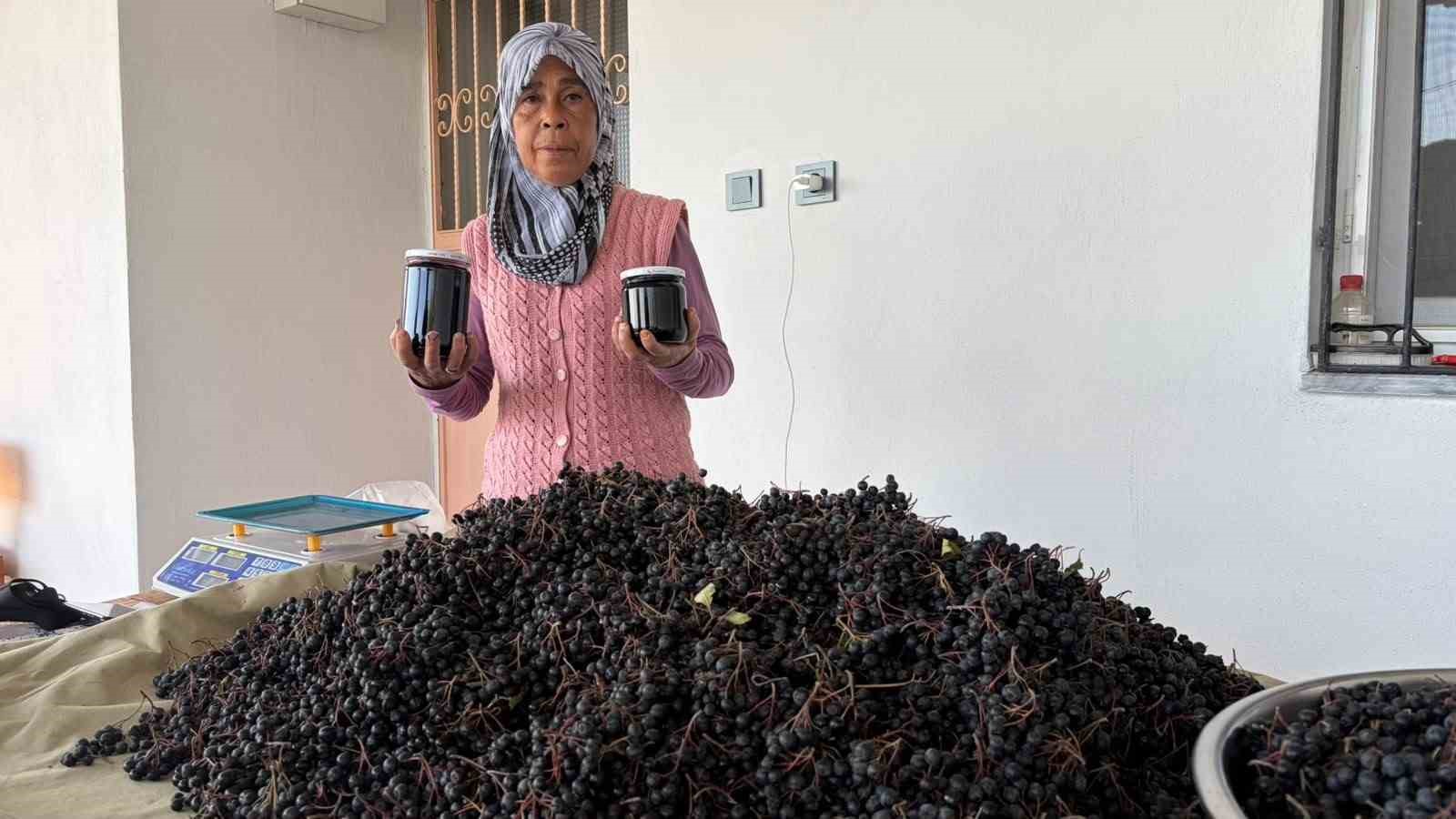 Osmaniye’de oğlunun tavsiyesiyle aronya yetiştirdi, reçelini 400 liradan satıyor