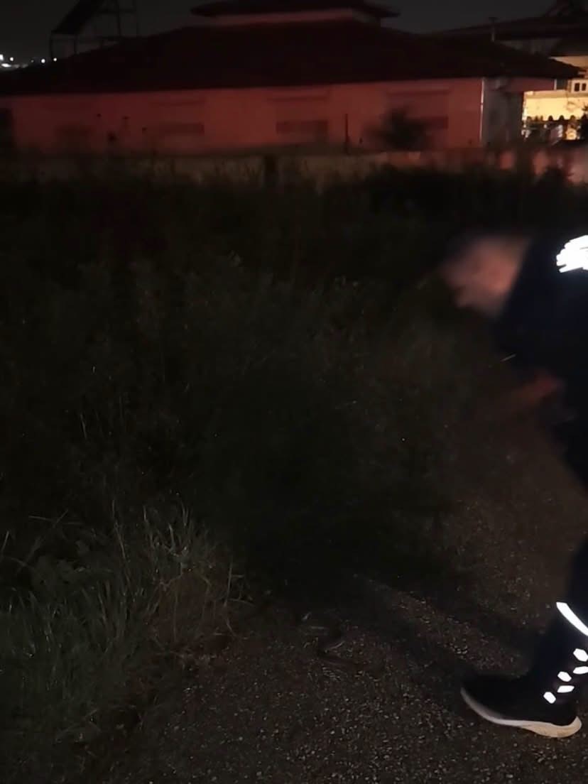 Defne’de yerleşim yerinde görülen yılan doğaya bırakıldı