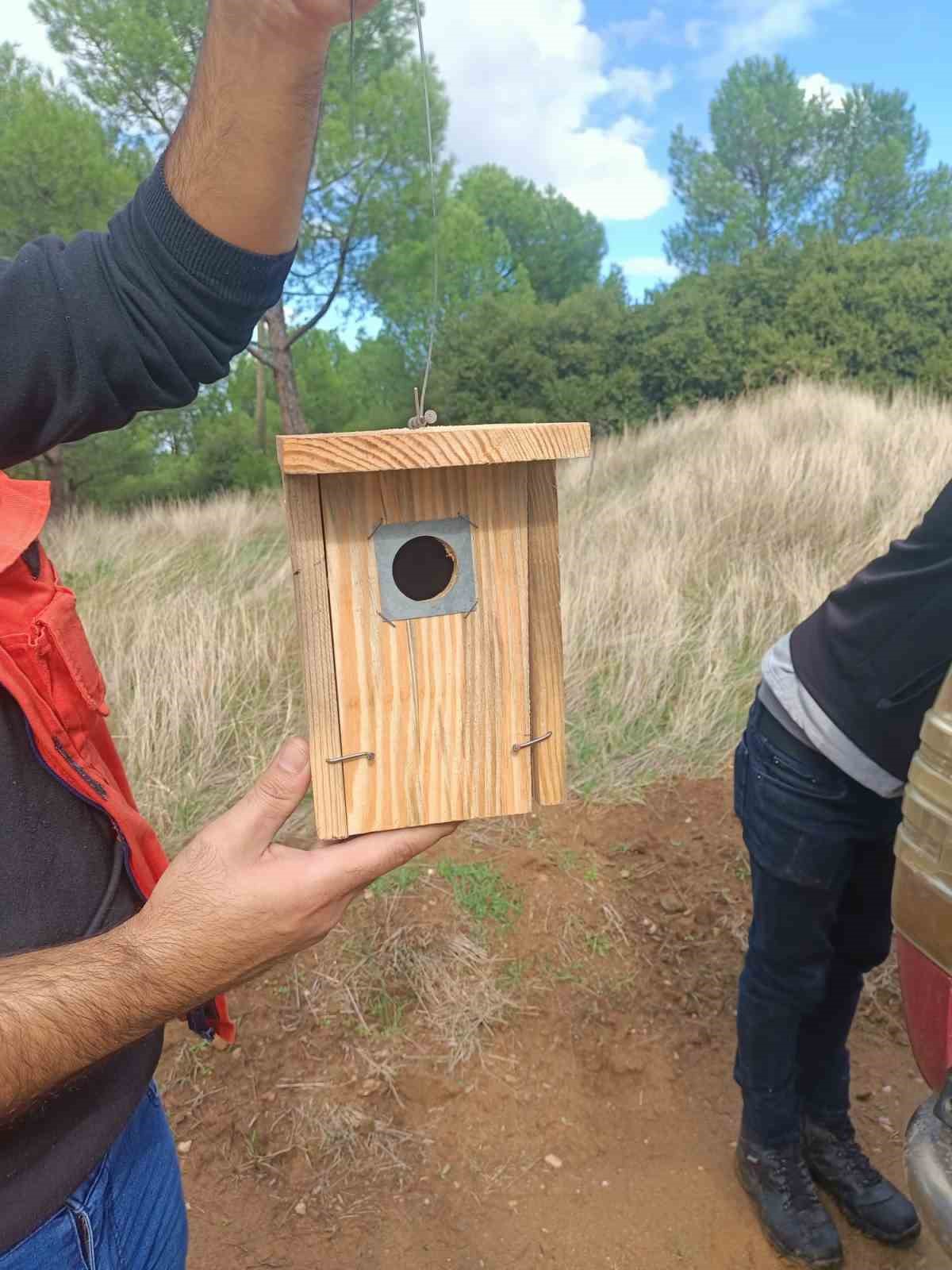 Sarıgöl ormanlarına 120 kuş yuvası asıldı