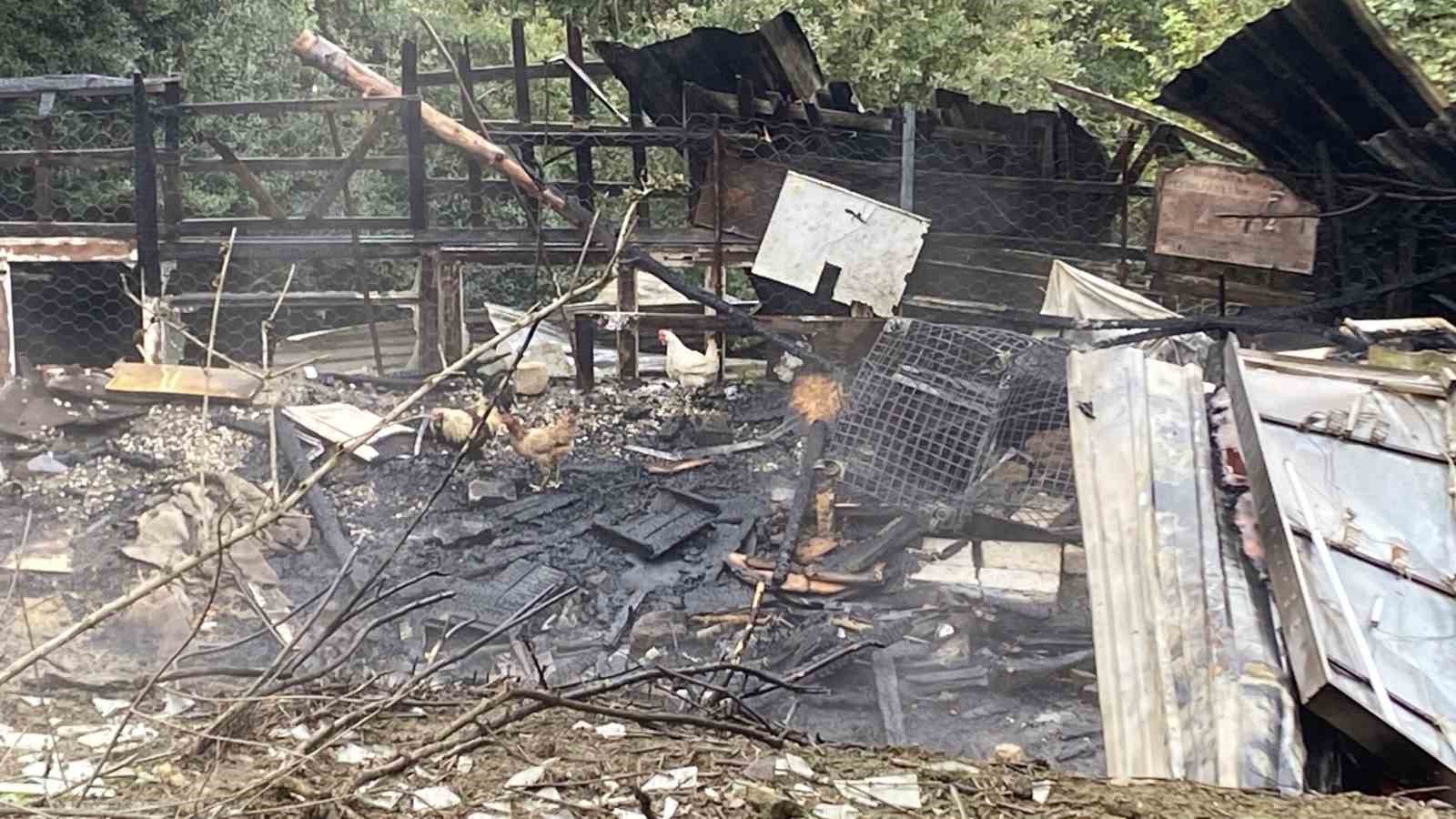 Kocaeli’de ahır yangını: 34 hayvan telef oldu