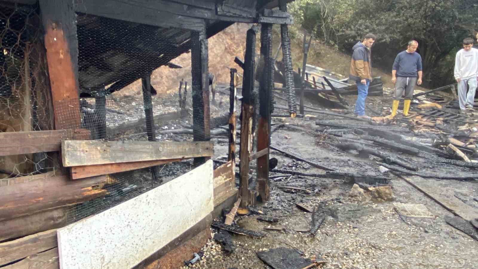 Kocaeli’de ahır yangını: 34 hayvan telef oldu