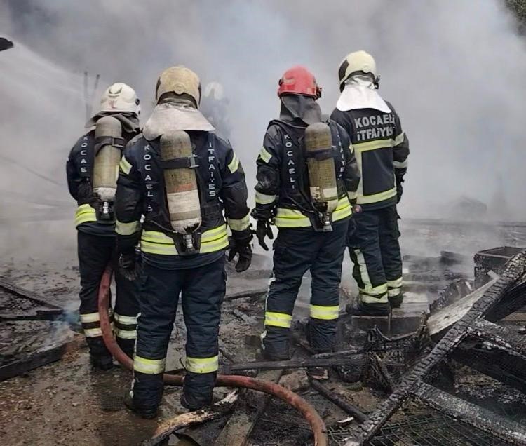 Kocaeli’de ahır yangını: 34 hayvan telef oldu