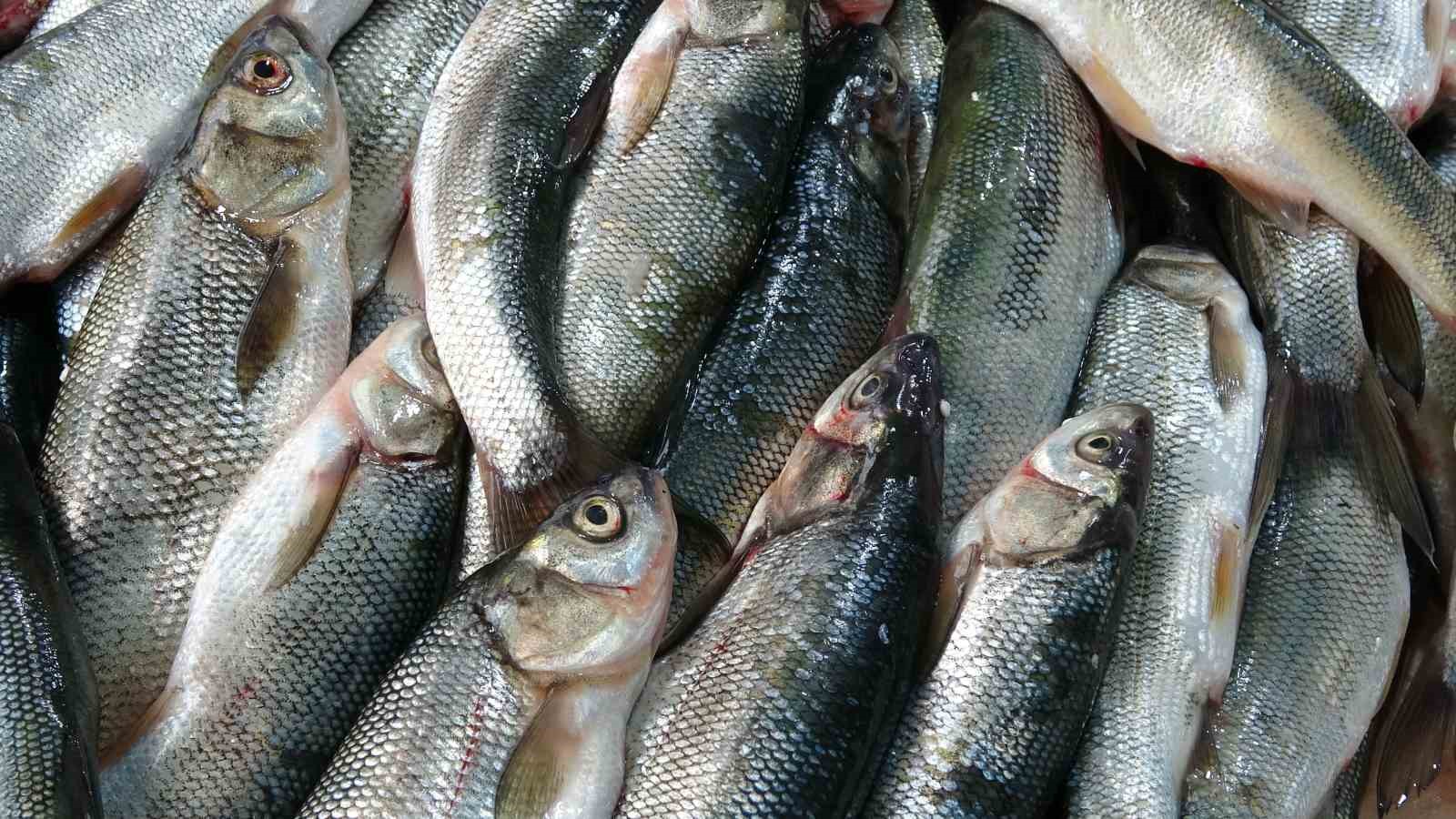 Van’da tezgahlar çeşitlendi: Tüketicinin tercihi Van Gölü’nün incisi oldu