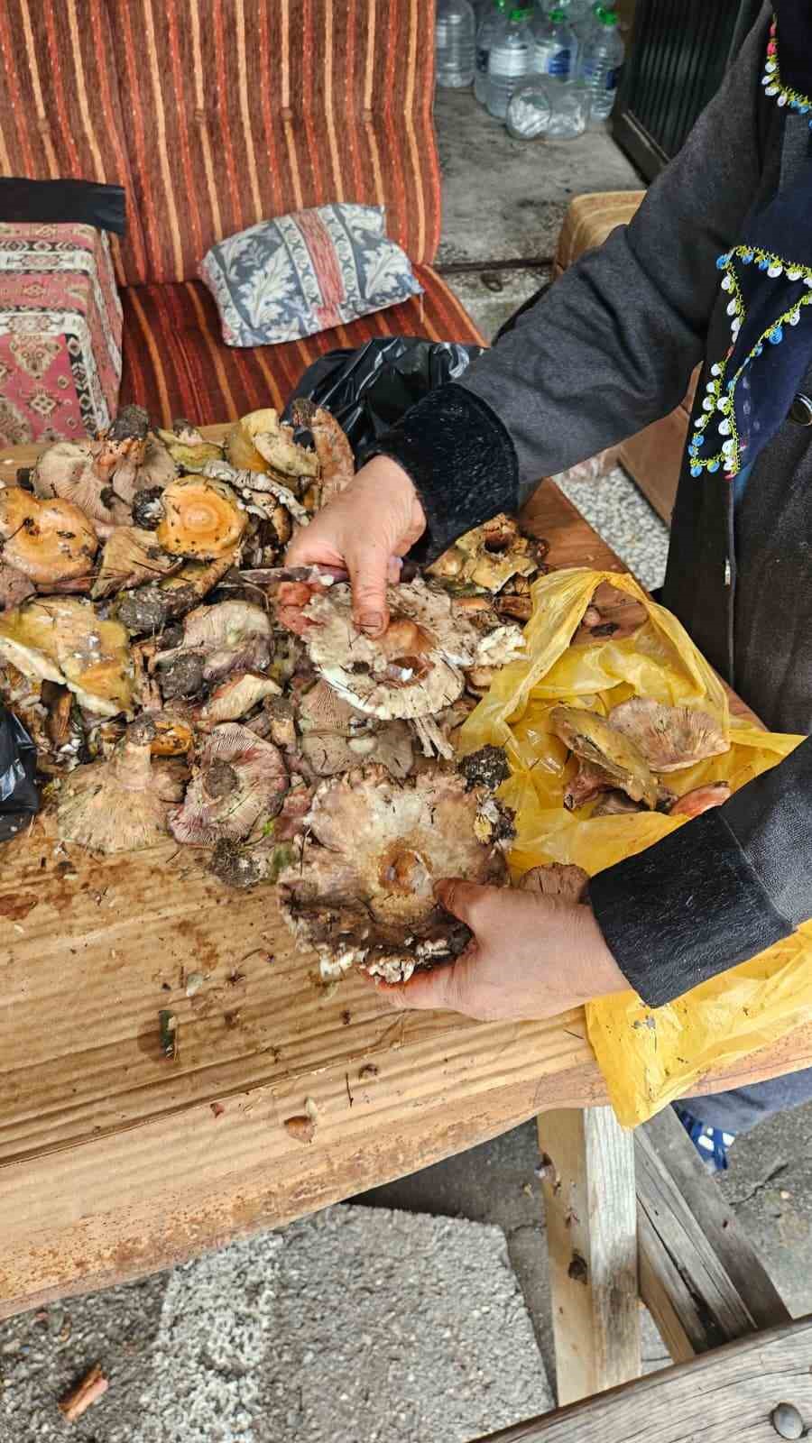 Andırın dağları mantarlarla doldu